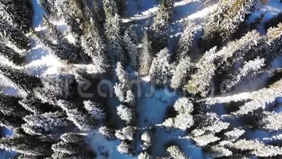 山区的冬季旅游旅行者沿着小路去山区晴朗的晴天视频的预览图