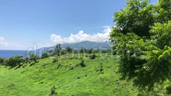 巴厘岛上绿草如茵的田野海滩大海和山脉的全景美丽的绿色自然背景视频的预览图