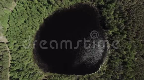 神奇的自然现象圆湖在森林中央摄像机上升了4K型空中射击视频的预览图