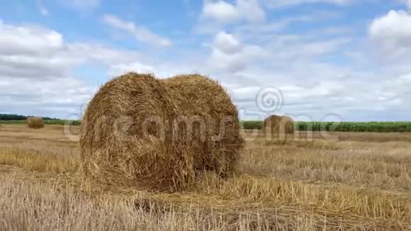 海斯塔克躺在田野上夏天的农村田地里有一捆干草追踪射击收获视频的预览图