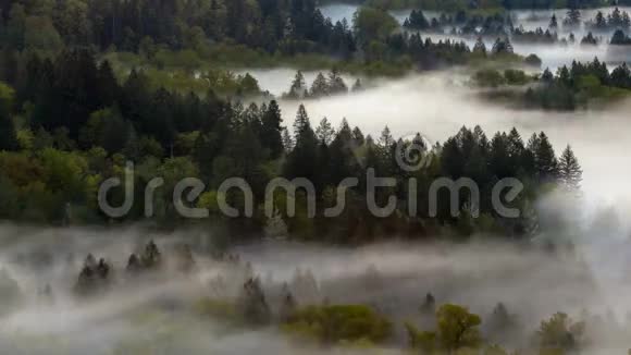 桑迪或4kuhd中桑迪河上空低雾的延时特写视频视频的预览图