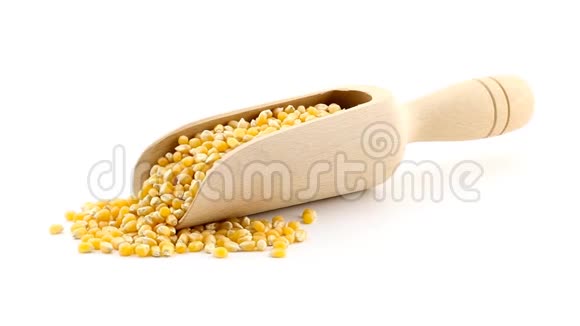 有机粒生粒干玉米或玉米粒在白色铲子上的堆视频的预览图