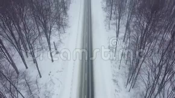 降雪时被冬林包围的道路的鸟瞰图视频的预览图