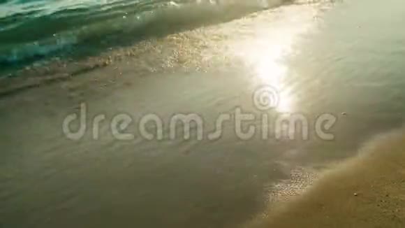 日落时海滩上4k波阳光反射水面视频的预览图
