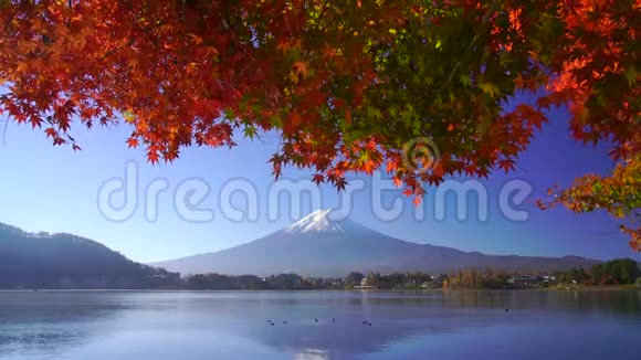 日本川川子湖秋枫山富士山视频的预览图