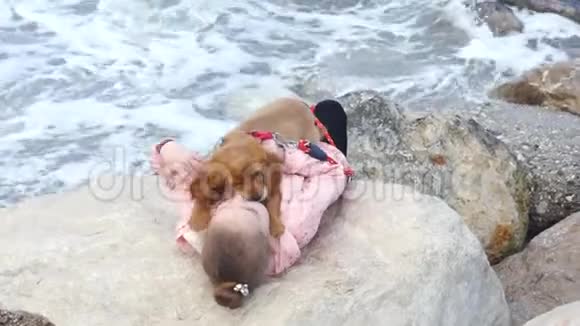 小女孩和她可爱的小狗躺在岩石上视频的预览图