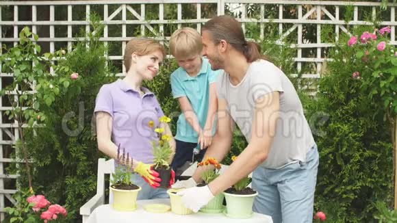 男孩帮助父母在花盆里种花园艺种植理念视频的预览图