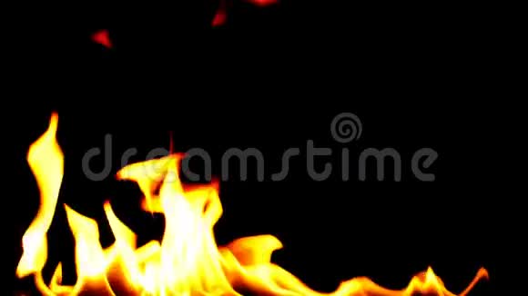燃烧火焰在黑色背景视频的预览图