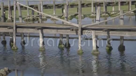 木桥3座视频的预览图
