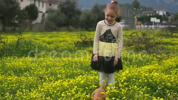 一个漂亮的女孩和一只小狗在黄花地玩耍视频的预览图