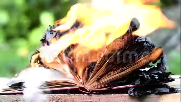 把书烧在火堆上视频的预览图