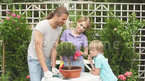 年轻的母亲和她的两个可爱的孩子在前院或后院种花视频的预览图
