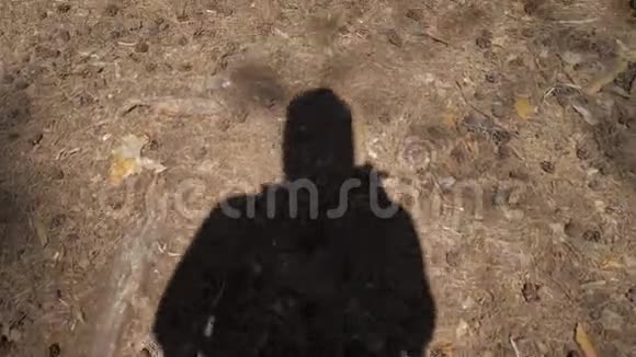 影子博主展示课程一个人走过森林的影子露出他的拇指4公里视频的预览图