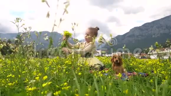 一个漂亮的女孩和一只小狗坐在黄色的田野里视频的预览图