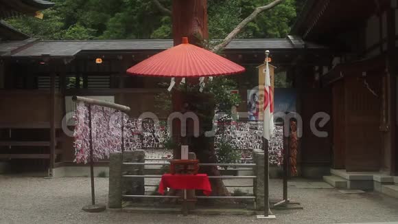 斋山日霍顿神社视频的预览图