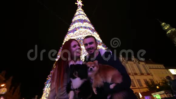 一对相爱的夫妇抱着可爱的狗亲吻圣诞树在背景上新年快乐的概念视频的预览图