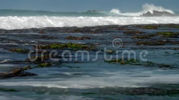 海浪冲刷着地平线上绿色的海藻和棕色的岩石视频的预览图