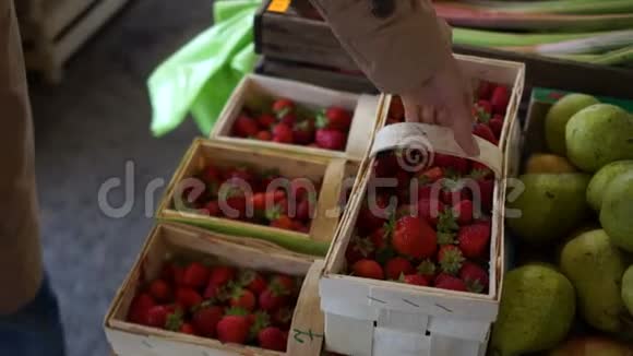 一只雌手在集市上拿着一篮草莓收获草莓维他命浆果视频的预览图