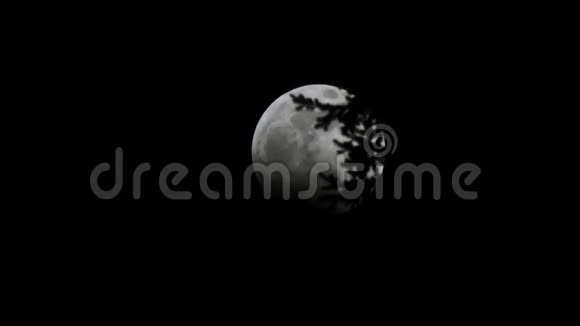 月下有日食夜晚有黑树枝视频的预览图