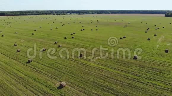 鸟瞰一片被废弃的麦秸覆盖的麦田视频的预览图