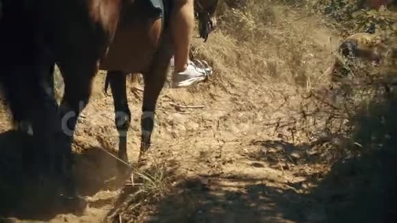 骑马游览森林视频的预览图