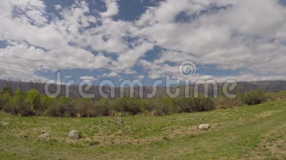 阿根廷自然的声音视频的预览图