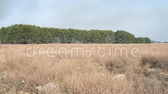 乌克兰赫森地区草原和森林景观全景视频的预览图