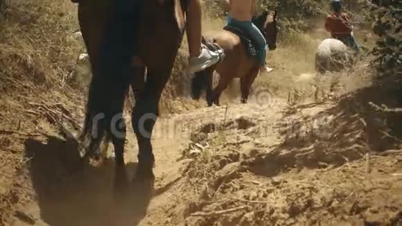 骑马游览森林视频的预览图