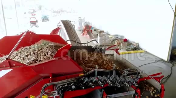 收获土豆上面的风景土豆块茎在一台特殊的机器上移动从碎片中分离出来马铃薯种植农业视频的预览图
