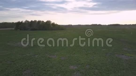漆黑的黄昏阴云密布的天空在绿色的未见光的田野上视频的预览图