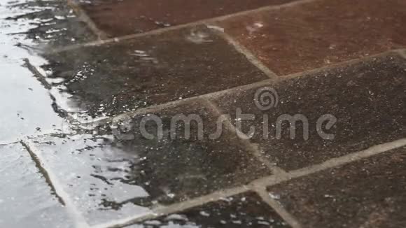 雨中的斑纹地板视频的预览图
