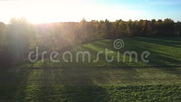 鸟瞰绿野和树后的阳光视频的预览图