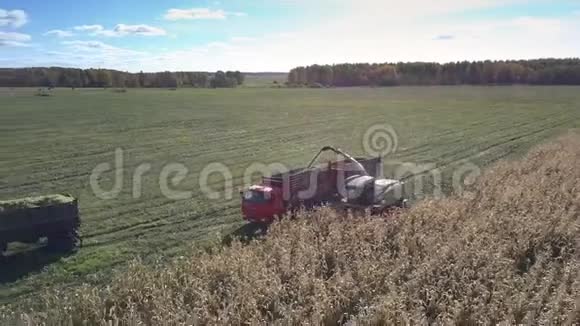农机作业的玉米田视频的预览图