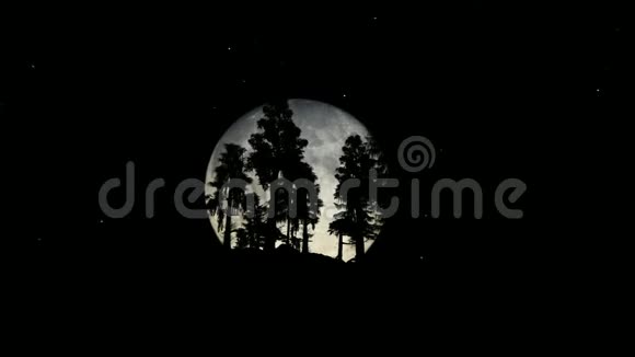 夜晚的森林大满月视频的预览图