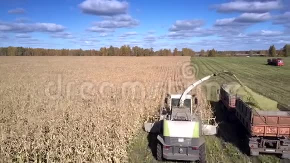 鸟瞰饲料剪刀将玉米叶倒入拖车视频的预览图