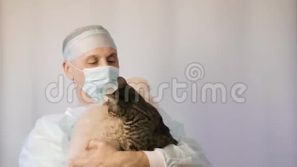 一位兽医抱着一只小狗和一只猫他们是朋友和拥抱视频的预览图