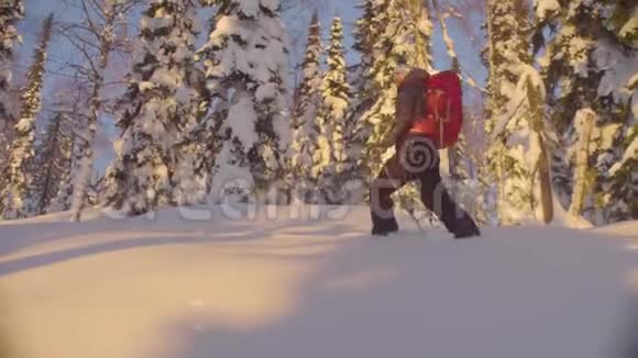 冬天森林里的日落一个滑雪的人视频的预览图