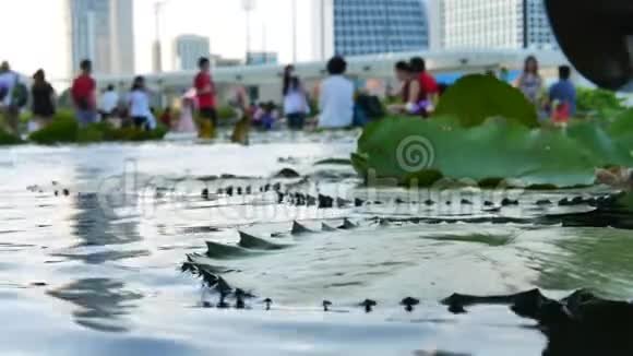新加坡的前景是人多水多水的池塘视频的预览图