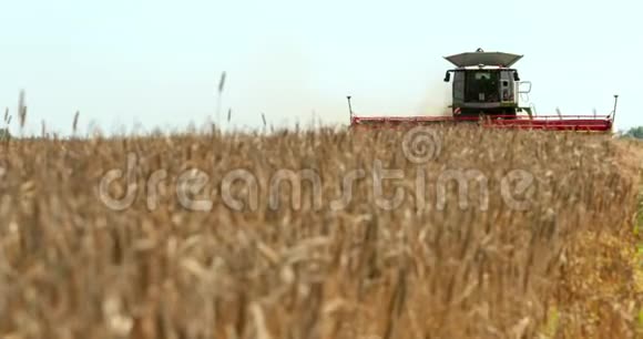 联合收割机农业机械收割谷物的机器道具慢动作视频的预览图