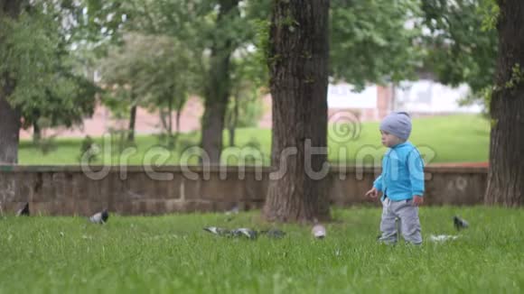 穿着蓝色夹克衫的小帅哥穿过草坪跑到城市公园里的鸟儿那里背景是一个池塘视频的预览图