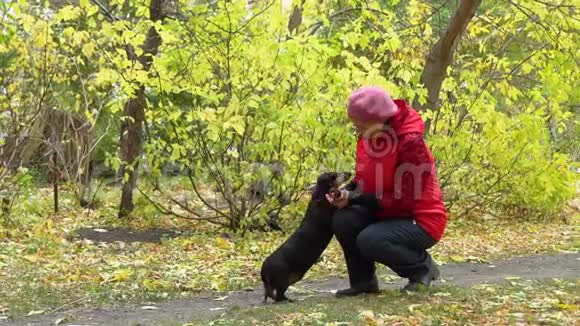 一位年长的妇女在秋天的公园里抚摸狗视频的预览图