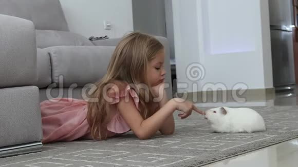 几内亚猪和一个女孩玩一个女孩躺在灰色的地毯上玩可爱的白色豚鼠视频的预览图