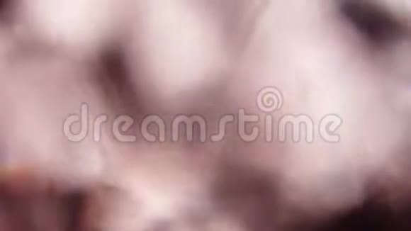 创造性的现代抽象时尚的光线泄漏粉红色的箔背景视频的预览图