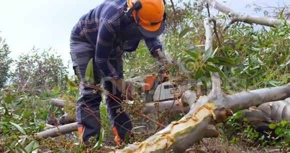 伐木工人在森林里砍树枝视频的预览图