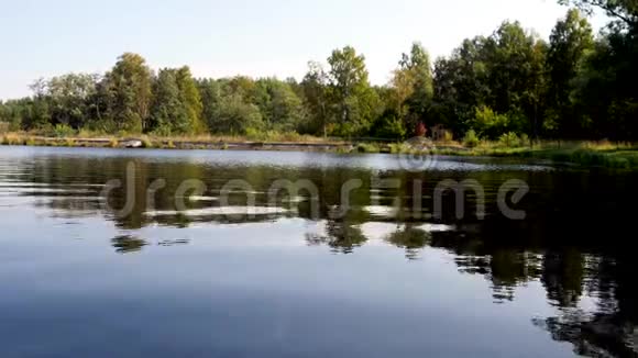 湖面起伏背景上有森林的倒影剪辑水域森林景观的镜像反映视频的预览图