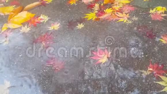 4K近距离观看雨水的滴落使红砖地板表面泛起涟漪红枫叶漂浮在水面上视频的预览图