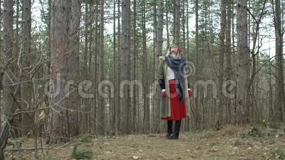 年轻漂亮的女人戴着红帽子在森林里转悠视频的预览图