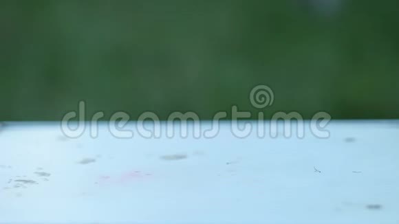 成熟的水果绿梨红苹果和黄樱桃李卷在一张白色的乡村桌子上背景是绿色的花园视频的预览图