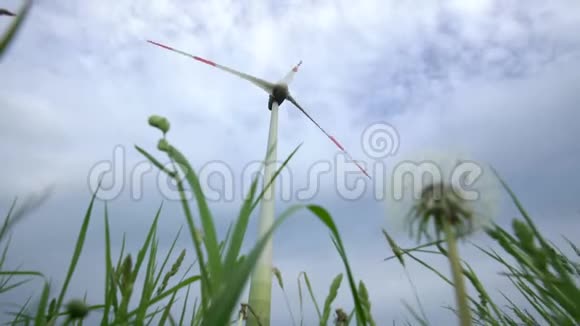 阴天的蒲公英时钟和风力发电机静态视频的预览图