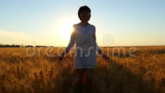 日落时分年轻迷人的黑发女郎穿着白色连衣裙沿着麦田散步视频的预览图